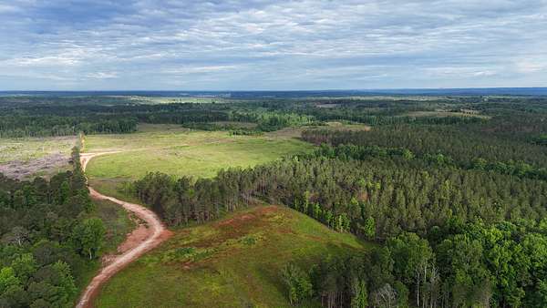 149 Acres of Recreational Land & Farm for Sale in Five Points, Alabama