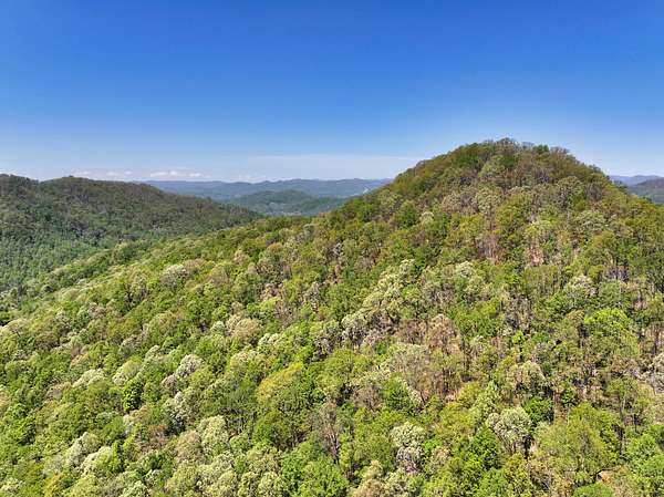 62 Acres of Recreational Land for Sale in Barnardsville, North Carolina