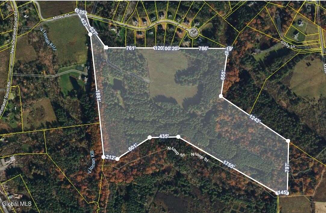 56 Acres of Recreational Land for Sale in Slingerlands, New York