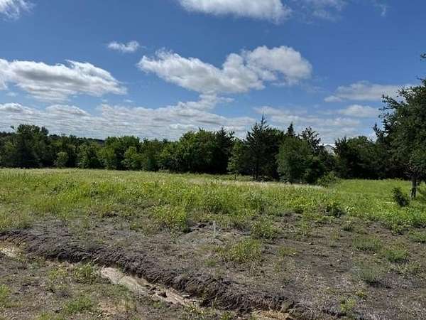 1 Acre of Residential Land for Sale in Van Alstyne, Texas