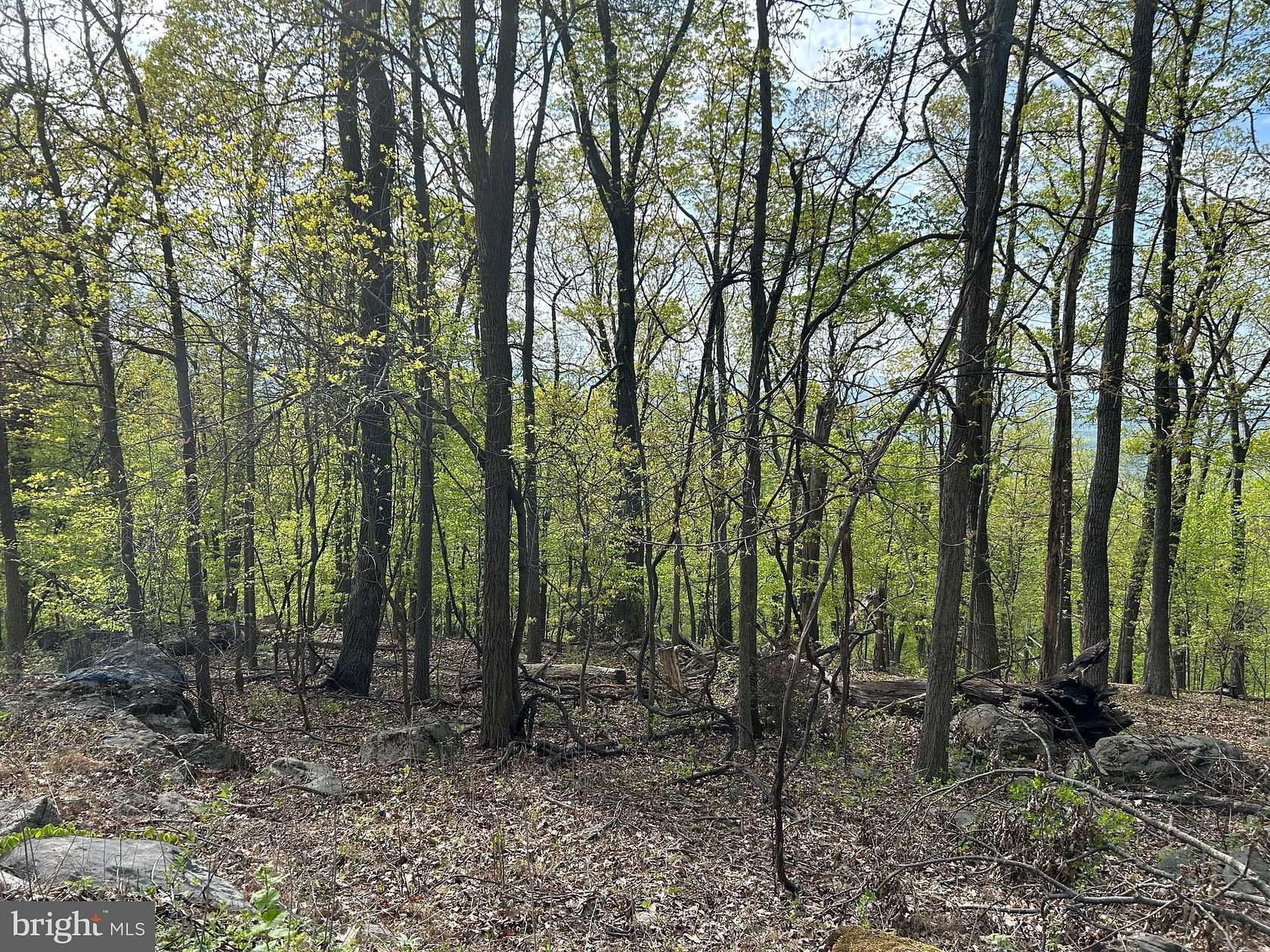 Residential Land for Sale in Chester Gap, Virginia