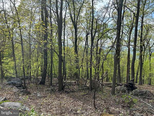 Residential Land for Sale in Chester Gap, Virginia