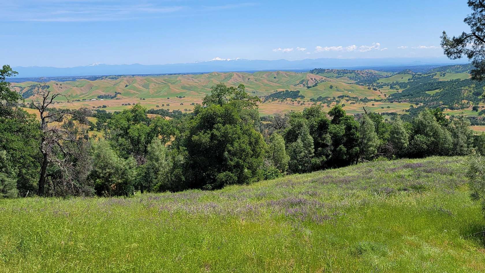 40 Acres of Recreational Land for Sale in Ono, California