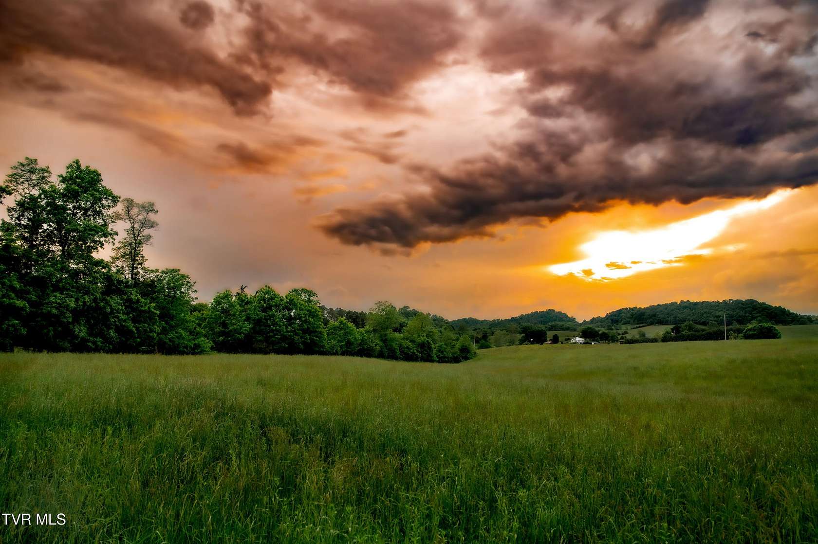 14.5 Acres of Land for Sale in Limestone, Tennessee