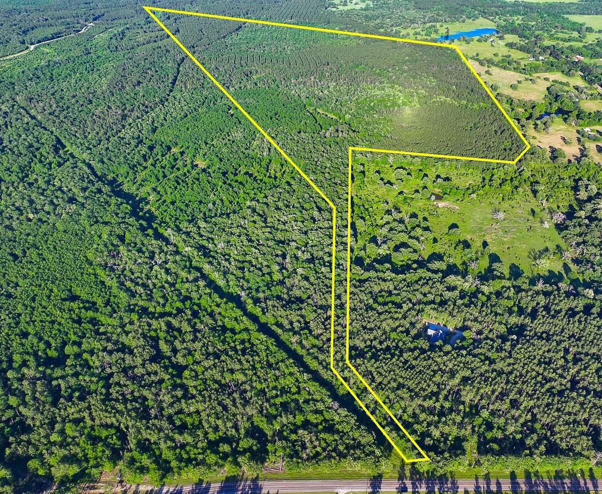 188 Acres of Recreational Land & Farm for Sale in Lovelady, Texas