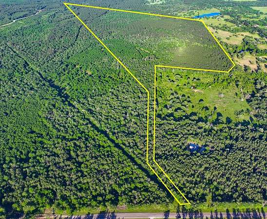 188 Acres of Land for Sale in Lovelady, Texas