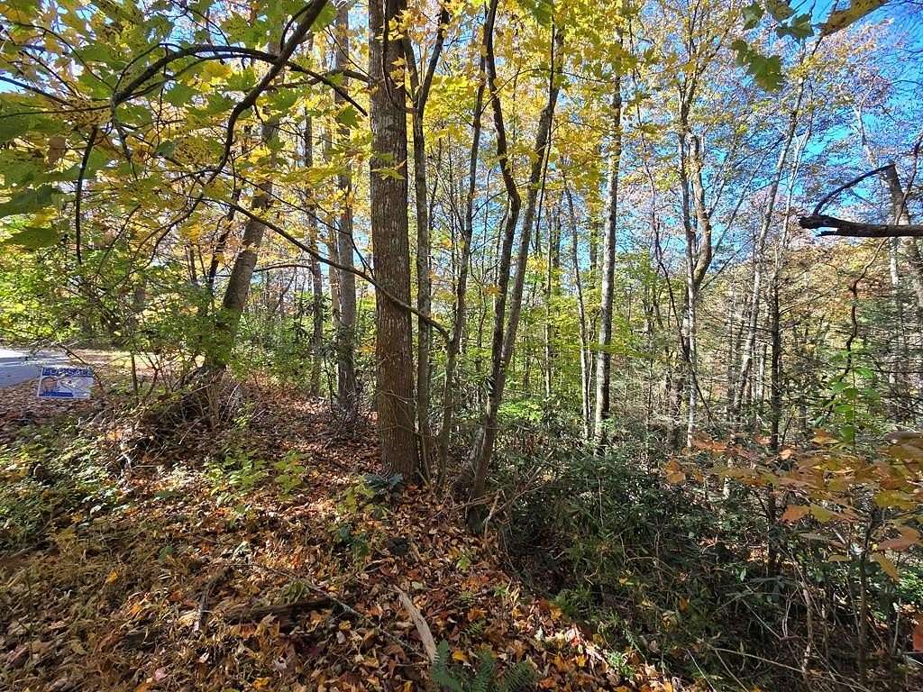 Land for Sale in Pineville, West Virginia