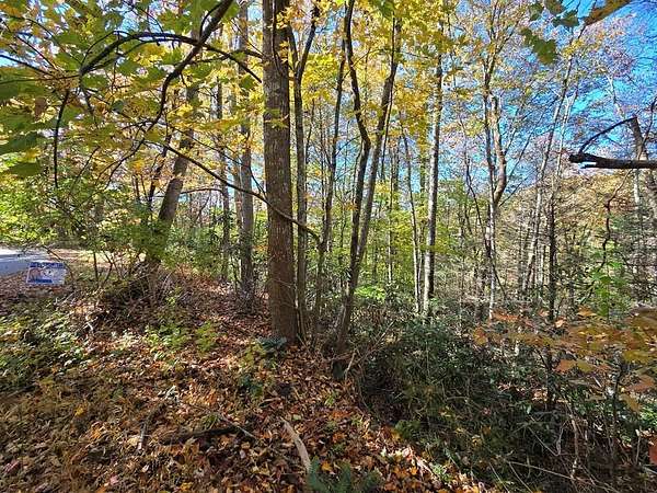 Land for Sale in Pineville, West Virginia