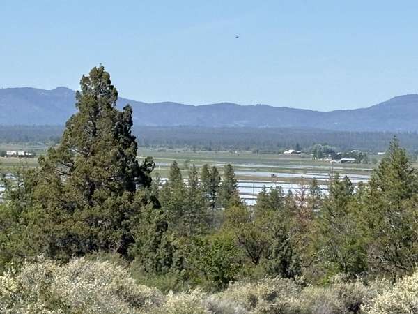 21.3 Acres of Land for Sale in Fall River Mills, California
