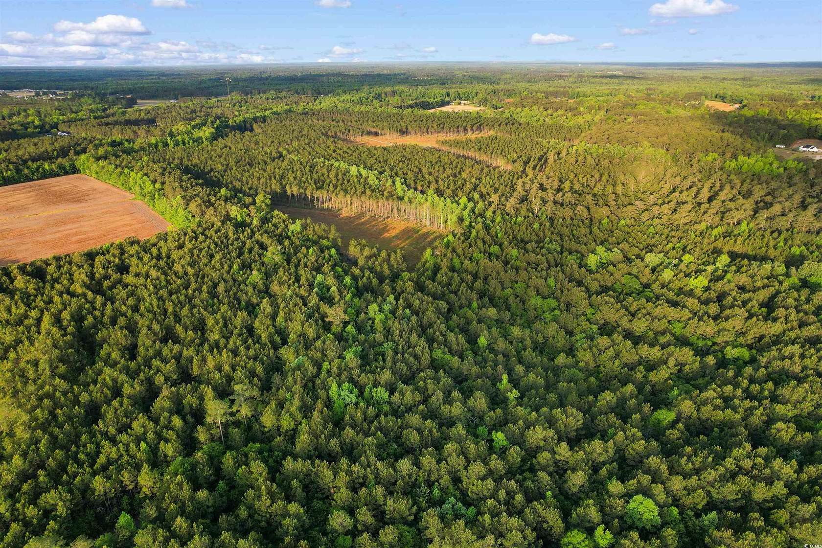 104 Acres of Land for Sale in Loris, South Carolina