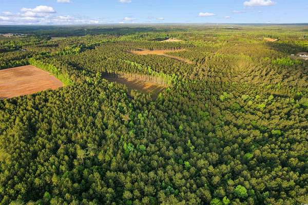104 Acres of Land for Sale in Loris, South Carolina