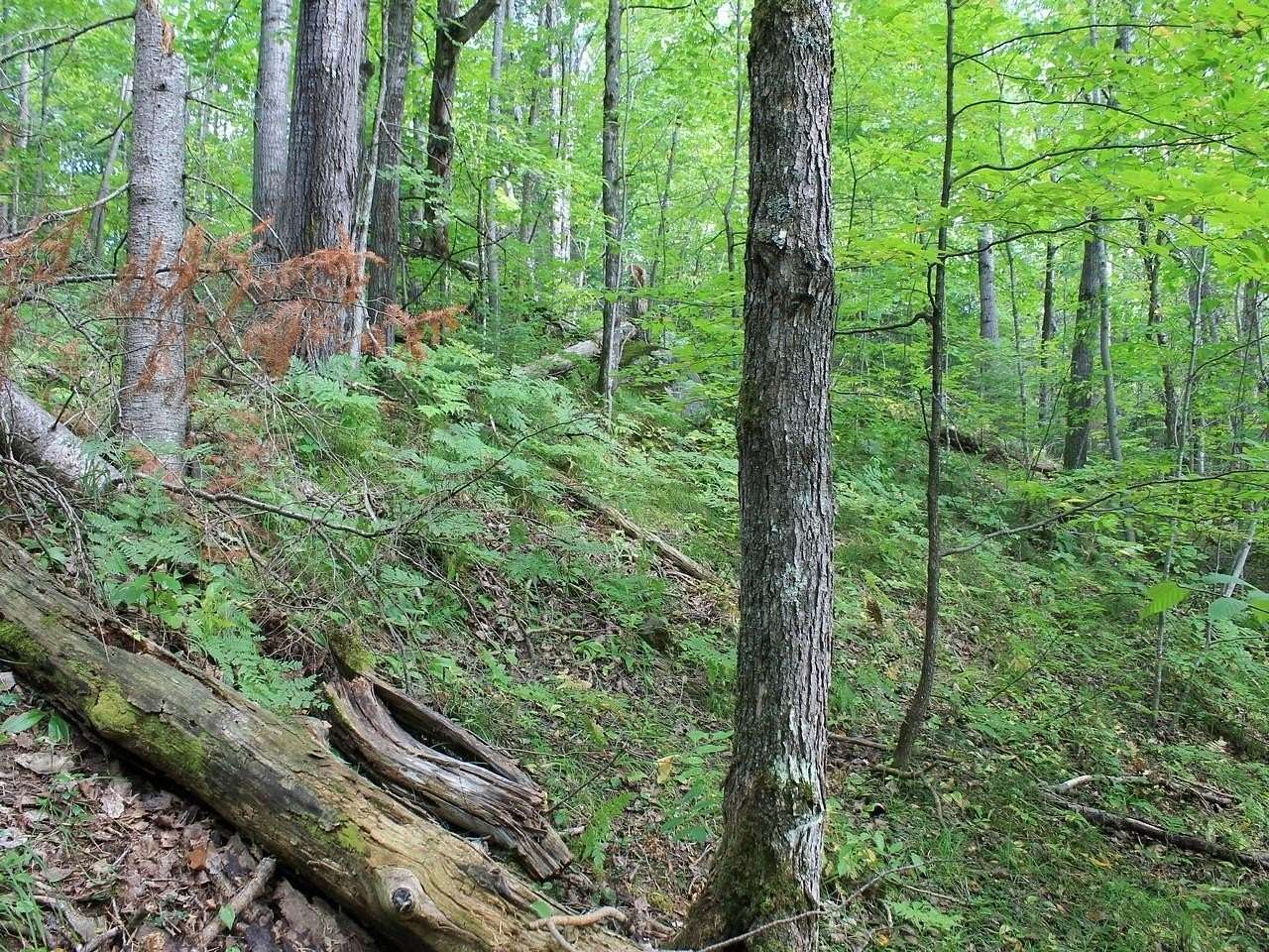 0.23 Acres of Residential Land for Sale in Hurley, Wisconsin