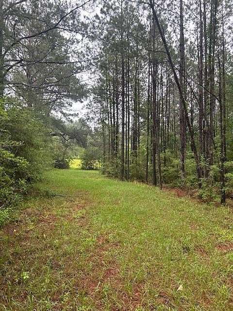 21 Acres of Land for Sale in Sandy Hook, Mississippi