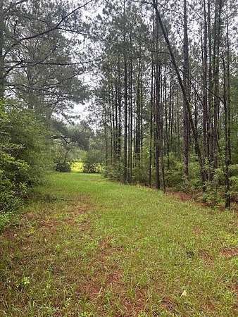 21 Acres of Land for Sale in Sandy Hook, Mississippi