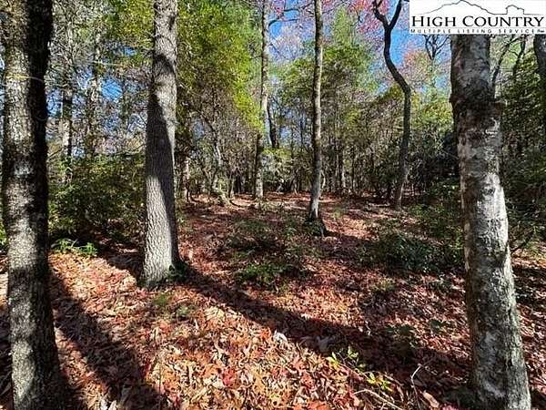 1 Acre of Residential Land for Sale in West Jefferson, North Carolina