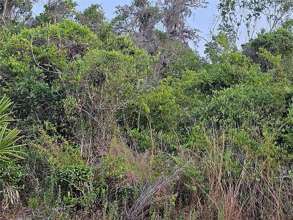 0.18 Acres of Residential Land for Sale in New Port Richey, Florida