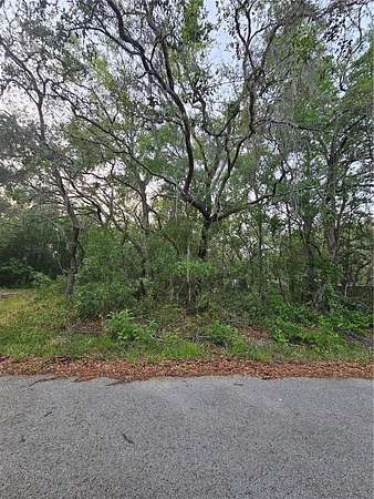 0.18 Acres of Residential Land for Sale in New Port Richey, Florida