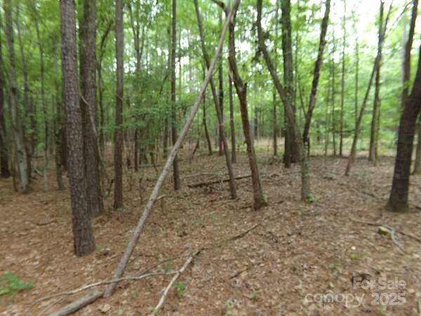 3.25 Acres of Residential Land for Sale in Chester, South Carolina