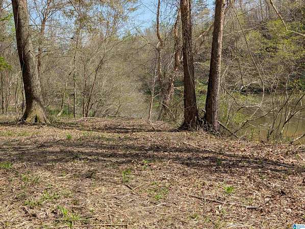5.72 Acres of Land for Sale in Cordova, Alabama
