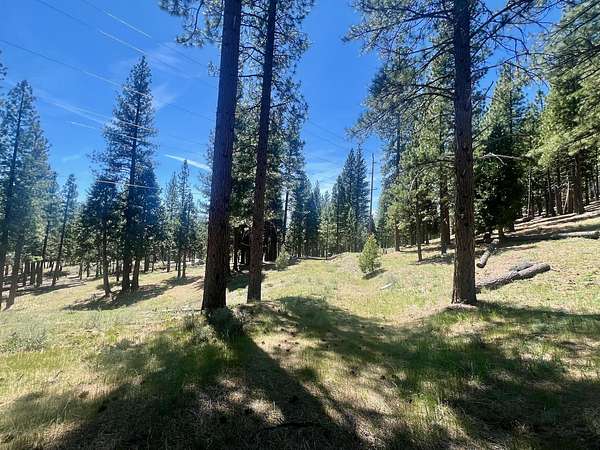 3.66 Acres of Residential Land for Sale in Blairsden, California