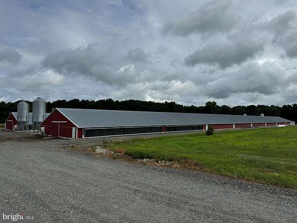 30 Acres of Agricultural Land for Sale in Seaford, Delaware