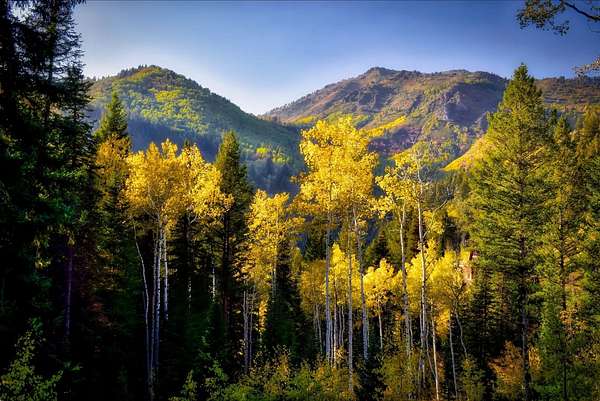 3 Acres of Residential Land for Sale in Brighton, Utah