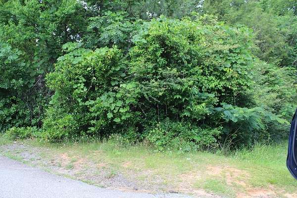 Residential Land for Sale in Lumpkin, Georgia