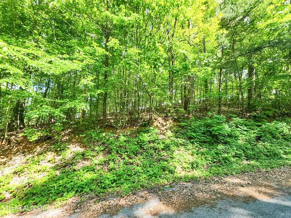 1.2 Acres of Residential Land for Sale in Maynardville, Tennessee