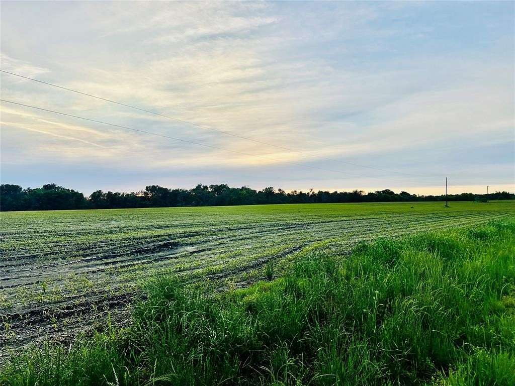 51.7 Acres of Land for Sale in Honey Grove, Texas