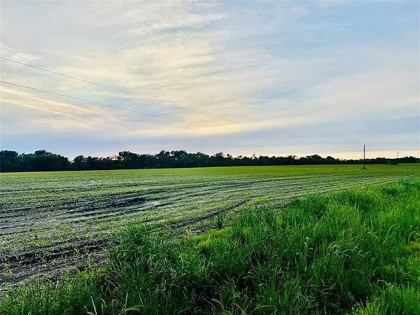 51.7 Acres of Land for Sale in Honey Grove, Texas