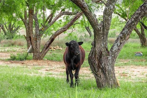 36.8 Acres of Land for Sale in Brownwood, Texas