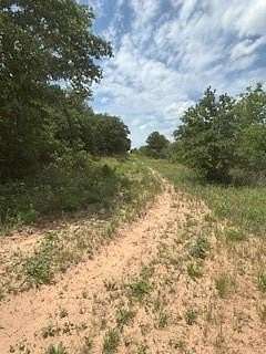 17.6 Acres of Recreational Land for Sale in De Leon, Texas