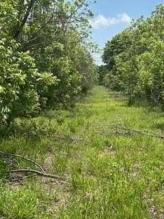 17.6 Acres of Recreational Land for Sale in De Leon, Texas