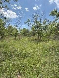 17.6 Acres of Recreational Land for Sale in De Leon, Texas