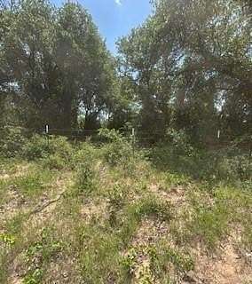 17.6 Acres of Recreational Land for Sale in De Leon, Texas