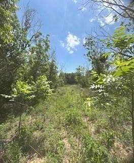 17.6 Acres of Recreational Land for Sale in De Leon, Texas