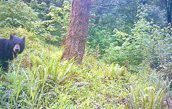 52.9 Acres of Land with Home for Sale in Silverton, Oregon