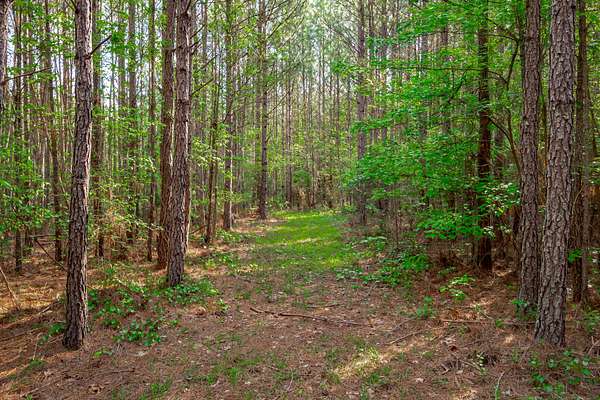 48.6 Acres of Recreational Land for Sale in Saluda, South Carolina