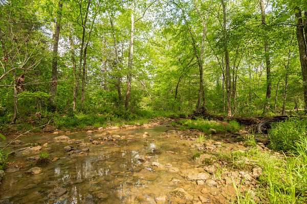 80 Acres of Recreational Land with Home for Sale in Zalma, Missouri