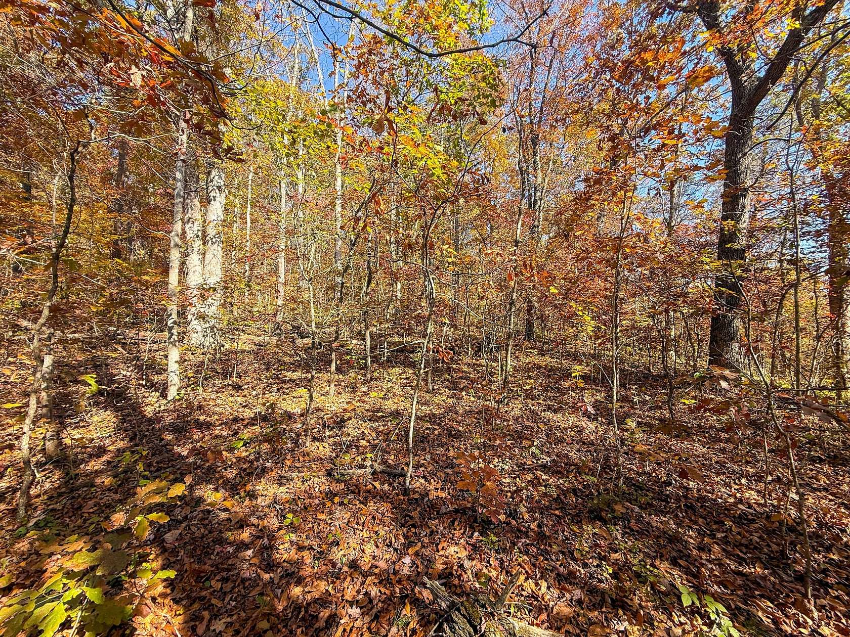 23 Acres of Recreational Land for Sale in Reedsville, Ohio