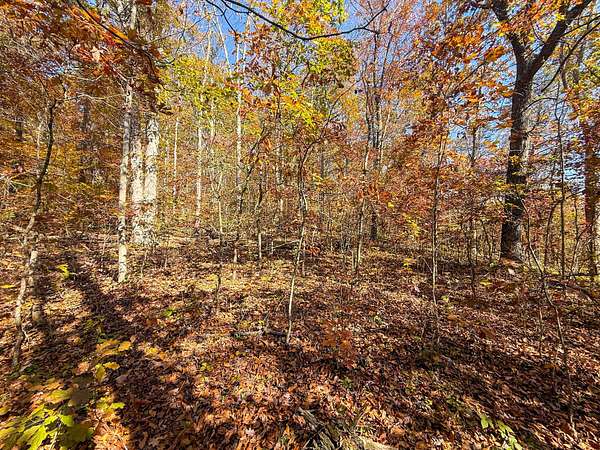 23 Acres of Recreational Land for Sale in Reedsville, Ohio