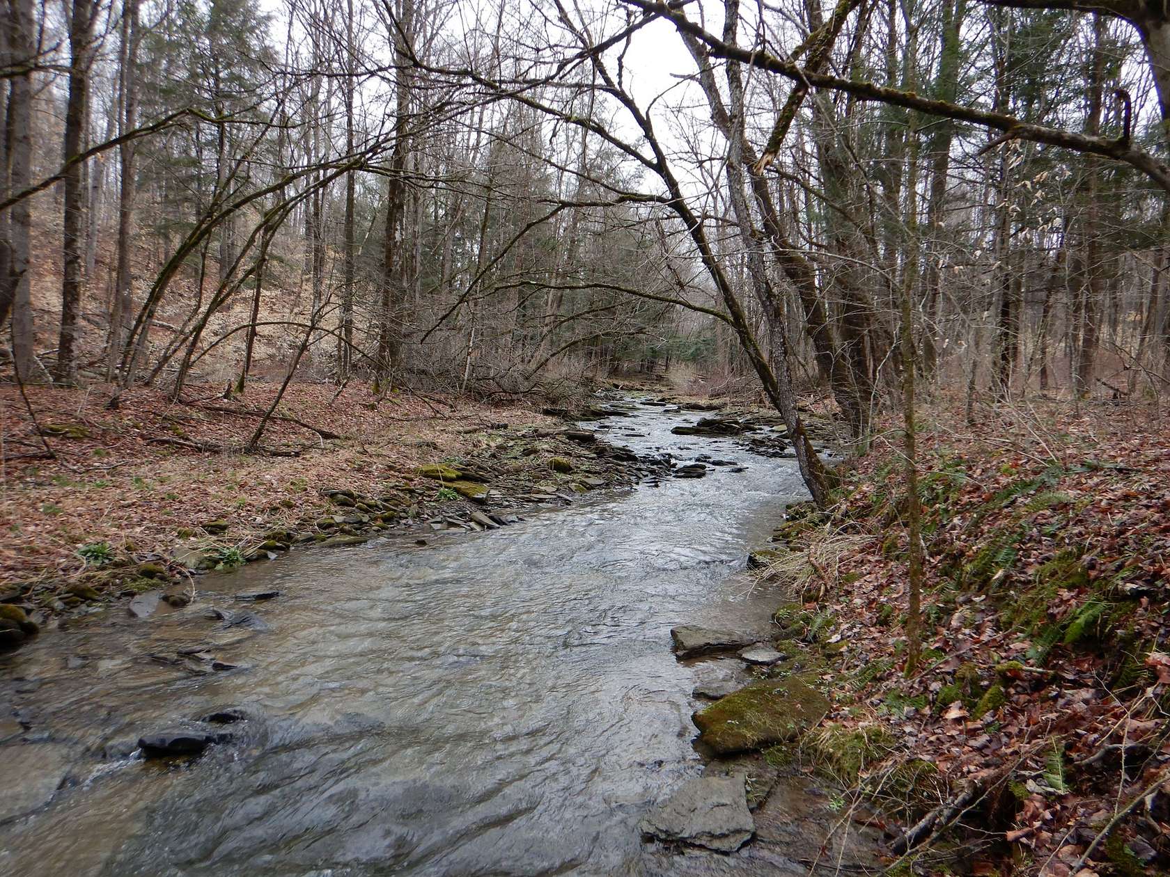 107 Acres of Recreational Land & Farm for Sale in Angelica, New York