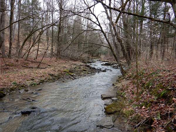 107 Acres of Recreational Land & Farm for Sale in Angelica, New York