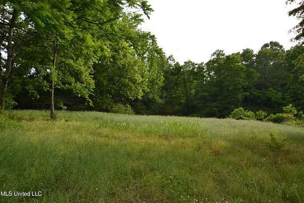 3.5 Acres of Mixed-Use Land for Sale in Olive Branch, Mississippi