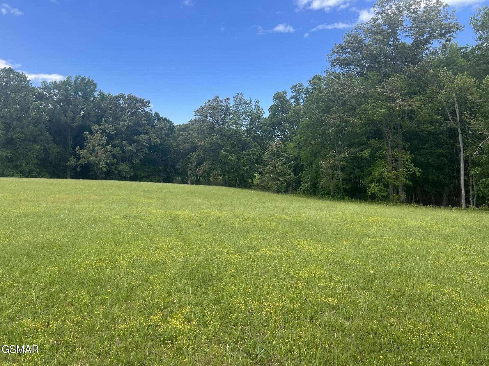 2 Acres of Residential Land for Sale in White Pine, Tennessee