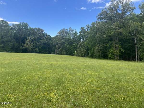 2 Acres of Residential Land for Sale in White Pine, Tennessee