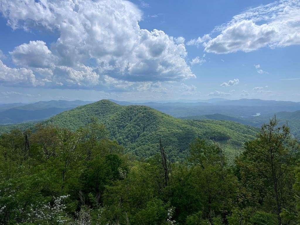 191 Acres of Agricultural Land for Sale in Murphy, North Carolina