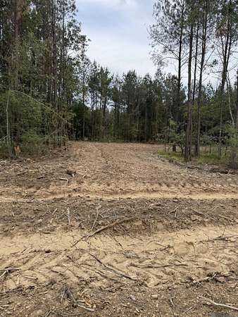 3 Acres of Residential Land for Sale in Livingston, Louisiana