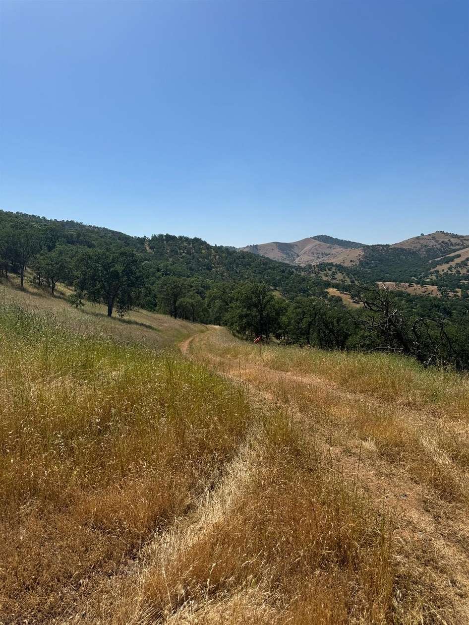 7 Acres of Residential Land for Sale in Tollhouse, California