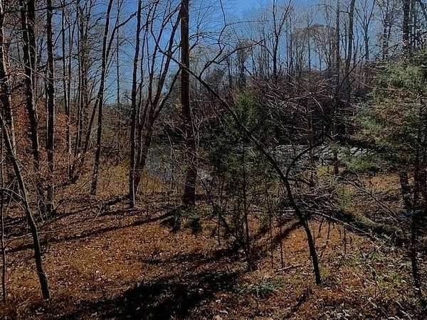 0.49 Acres of Residential Land for Sale in Lynch Station, Virginia